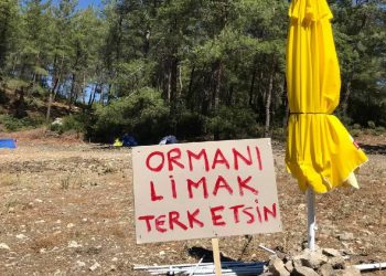 Akbelen Ormanı davasında yürütmeyi durdurma kararı kaldırıldı