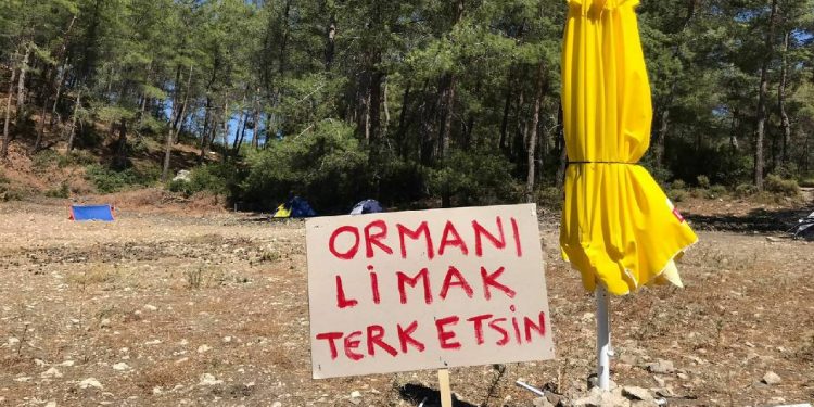 Akbelen Ormanı davasında yürütmeyi durdurma kararı kaldırıldı