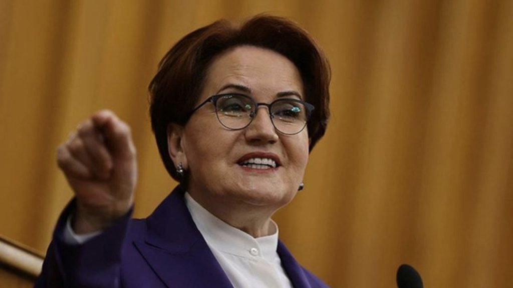 Akşener: Erdoğan muhalefete düşerse parlamenter sistemi ister