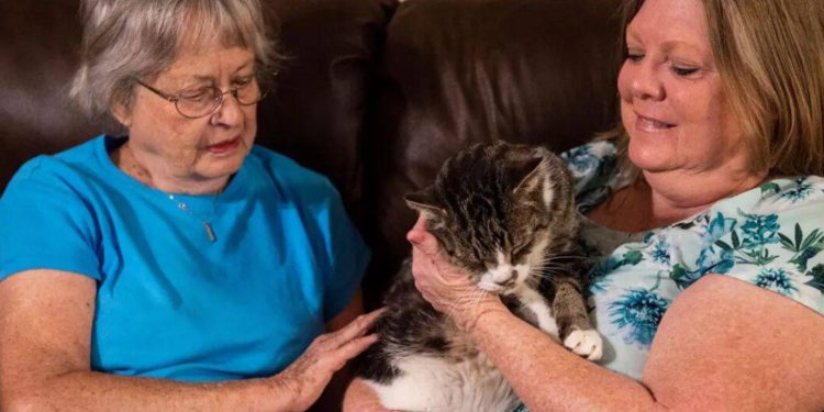 Alabama'da iki kadın sokak kedilerini besledikleri ve kısırlaştırmaya çalıştıkları için ceza aldı