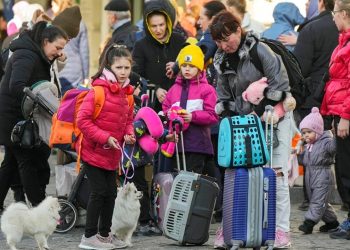 Almanya'ya sığınan Ukraynalı mültecilerin yüzde 37'si kalmak istiyor