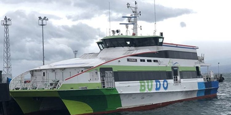 BUDO'nun bazı seferleri iptal edildi