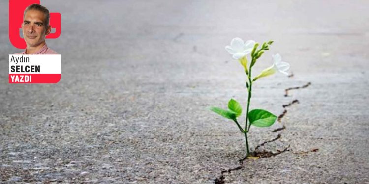 Biraz umutlansak mı?