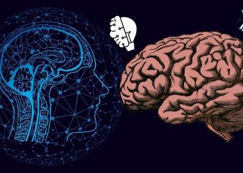 Bu yiyecekleri tüketenlerin zekası uçuyor! İşte beyni ve hafızayı güçlendiren yiyecek listesi