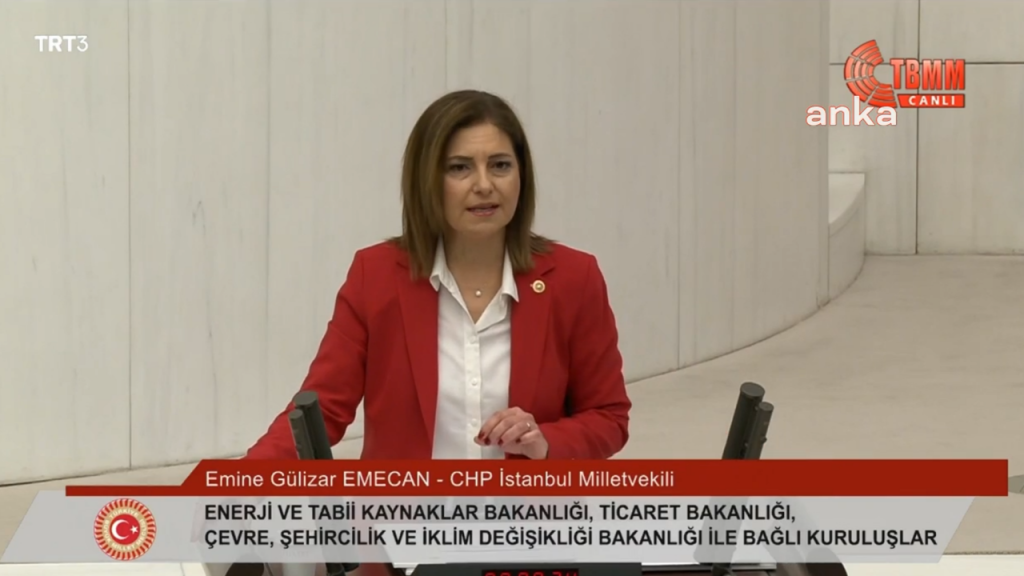 CHP'li Gülizar Emecan: Ülkeyi bir timsah kapitalizmine mahkum ettiniz