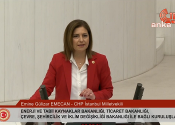 CHP'li Gülizar Emecan: Ülkeyi bir timsah kapitalizmine mahkum ettiniz