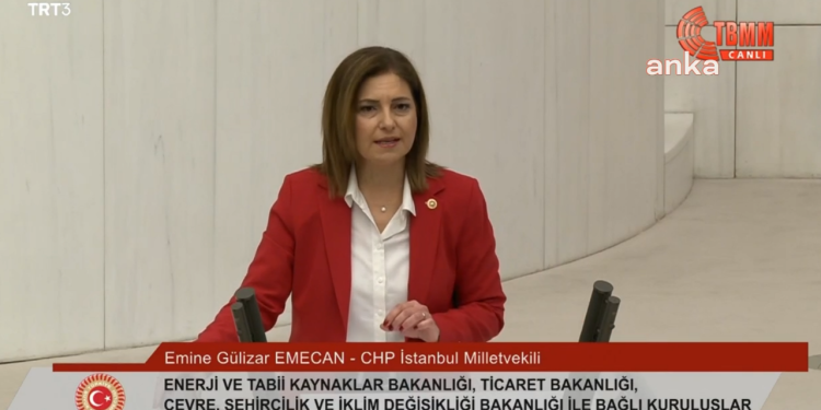 CHP'li Gülizar Emecan: Ülkeyi bir timsah kapitalizmine mahkum ettiniz