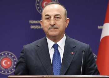 Çavuşoğlu: Bu örgütleri temizlemek için operasyona devam etmemiz gerekiyor