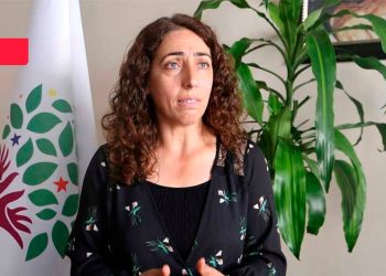 DBP Eş Genel Başkanı Aydeniz Artı Gerçek’e konuştu: Ne yaparlarsa yapsınlar iktidarın gidişi engellenemeyecek
