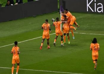 Dünya Kupası'nda ilk çeyrek finalist Hollanda