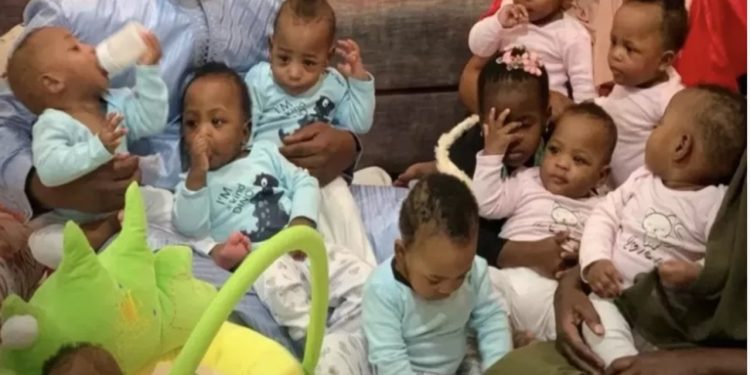 Dünyanın 'tek dokuzları', 19 ay sonra Fas'tan Mali'deki evlerine gitti