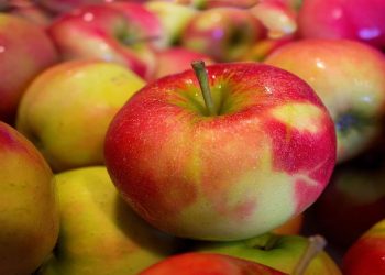 Elmanın en değerli yerini çöpe atmışız.. Meğer elmayı böyle tüketmek çok şifalıymış