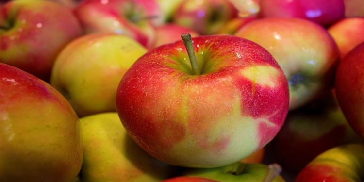 Elmanın en değerli yerini çöpe atmışız.. Meğer elmayı böyle tüketmek çok şifalıymış