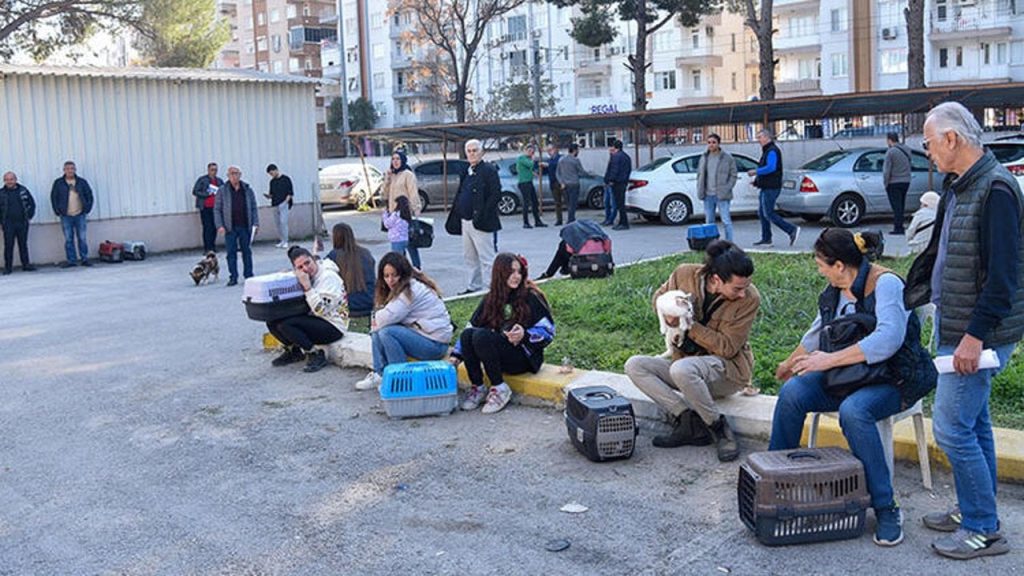 Evcil hayvanlara çip için son günler: Kuyruklar uzuyor