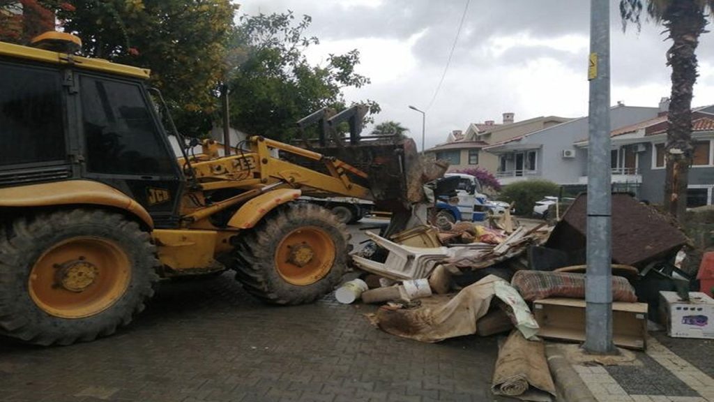 Evinde kedi ve köpek ölüleri bulunmuştu: ‘Çoğu yaşlı olduğu için hastalanmış ve ölmüştür'