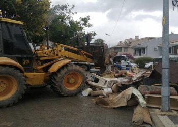 Evinde kedi ve köpek ölüleri bulunmuştu: ‘Çoğu yaşlı olduğu için hastalanmış ve ölmüştür'