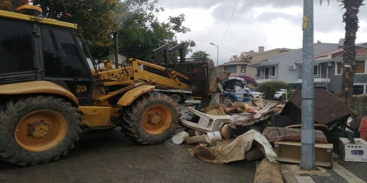 Evinde kedi ve köpek ölüleri bulunmuştu: ‘Çoğu yaşlı olduğu için hastalanmış ve ölmüştür'