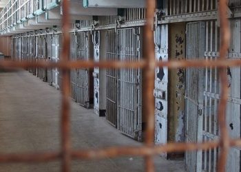 İnsan Hakları İhlalleri Raporu: 1 ayda 875 işkence olayı meydana geldi