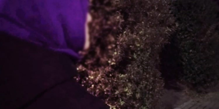 İşkence raporu: Akli dengesini yitiren insanlar gördüm, öleceğimi sandım…