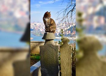 İstanbul'da mezar yeri fiyatlarına da zam: 45 bin liraya yükseldi