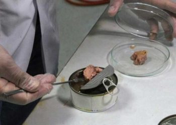 Konserve balıktan mikroplastik çıktı