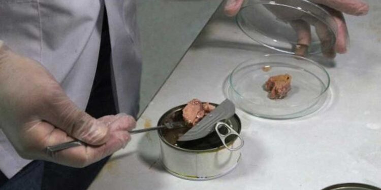 Konserve balıktan mikroplastik çıktı