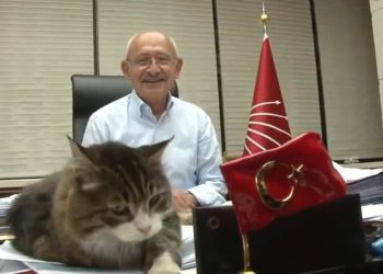 Kübra Par: Kılıçdaroğlu'nun neşesi yerindeydi, asıl kulisleri Şero'dan dinledim