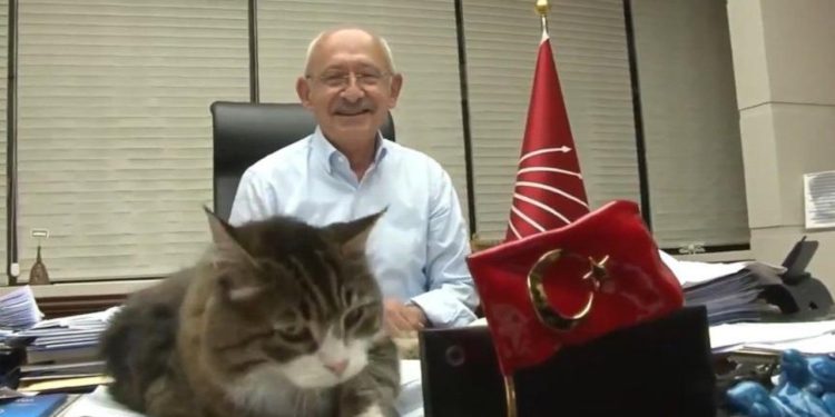 Kübra Par: Kılıçdaroğlu'nun neşesi yerindeydi, asıl kulisleri Şero'dan dinledim