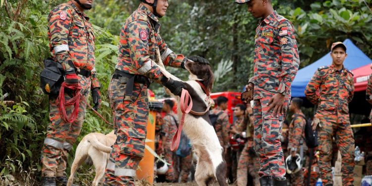 Malezya'daki ruhsatsız kamp alanındaki heyelanda ölenlerin sayısı yükseliyor