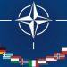 NATO: Korkak ve sinsi!