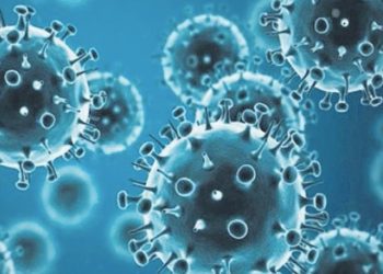 Prof. Dr. Şener: Domuz gribi Covid-19 kadar bulaşıcı ve öldürücü olabilir