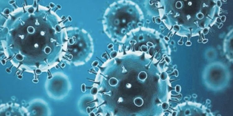 Prof. Dr. Şener: Domuz gribi Covid-19 kadar bulaşıcı ve öldürücü olabilir