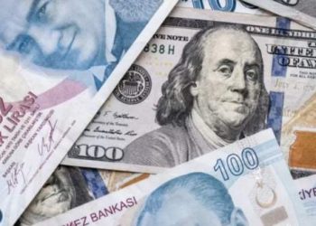 Reuters haber ajansı, 18,70 seviyesine çıkarak yeni bir rekor kıran dolar karşısında Türk Lira'sının bu yıl içinde yüzde 29'dan fazla değer kaybettiğini duyurdu.