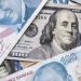 Reuters haber ajansı, 18,70 seviyesine çıkarak yeni bir rekor kıran dolar karşısında Türk Lira'sının bu yıl içinde yüzde 29'dan fazla değer kaybettiğini duyurdu.
