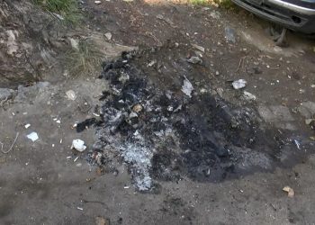 Sokak ortasında köpeği yakarak öldürdüler
