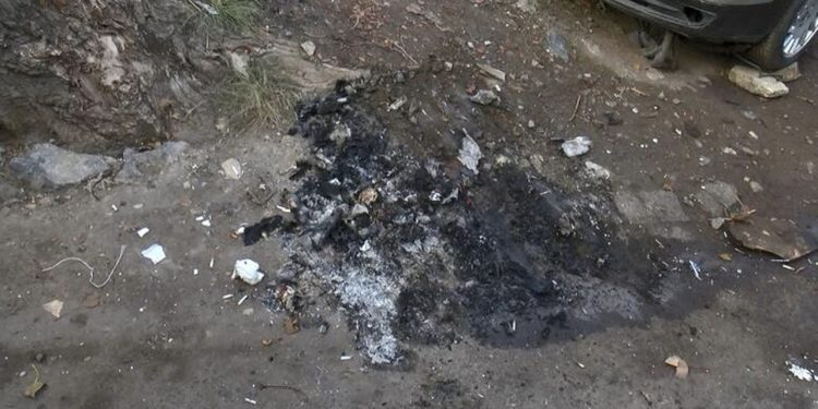 Sokak ortasında köpeği yakarak öldürdüler