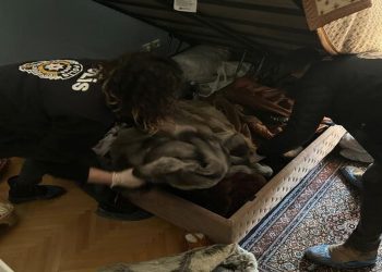 Sosyal medya fenomeni 'Gaga Bulut'a şantaj gözaltısı