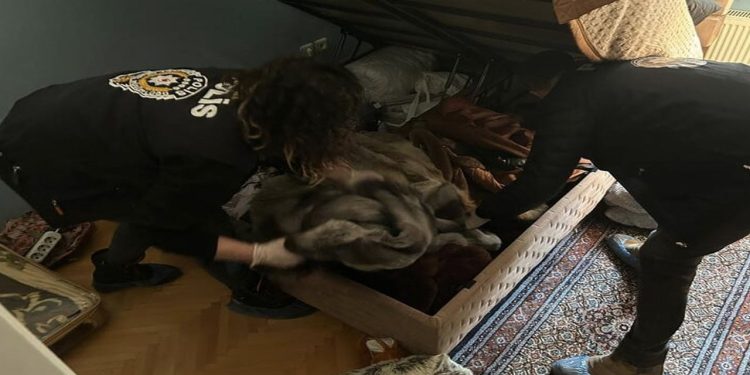 Sosyal medya fenomeni 'Gaga Bulut'a şantaj gözaltısı