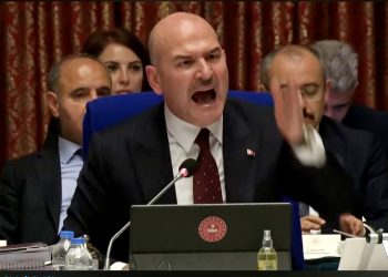 Süleyman Soylu’nun ‘PKK’nın dağ kadrosunda’ dediği itfaiye eri, şehit kardeşi çıktı