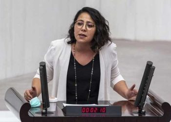 TİP Sözcüsü Kadıgil, istismara uğrayan çocuğun sözlerini Meclis tutanaklarına geçirtti