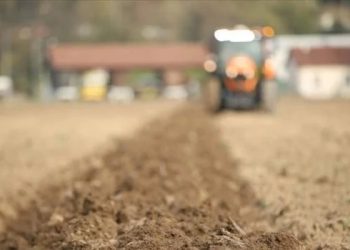 Çiftçilerin tarımsal faaliyetleri için üretim ve yatırım amaçlı satın aldığı girdilerin maliyetindeki değişkenliğini izleyen TÜİK tarımsal girdi fiyat endeksi (Tarım-GFE) Ekim 2022 verilerinde bir önceki aya göre yüzde 2,68, yıllık bazda ise yüzde 134,76 artış kaydedildi.