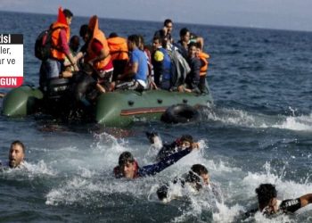 Tahta Kuruları ve Kargalar Meclisi