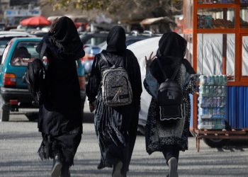 Taliban'ın kadınlara üniversite yasağını eleştiren profesör diplomasını yırttı