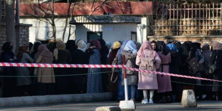 Taliban'ın kızların üniversite eğitimini askıya almasının hesabı sorulacak