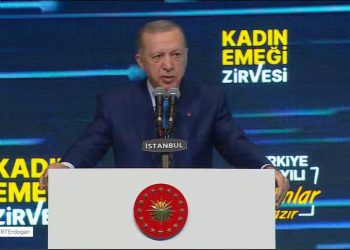 Tayyip Erdoğan, 6 yaşındaki çocuğa cinsel istismar için ‘münferit olay’ dedi