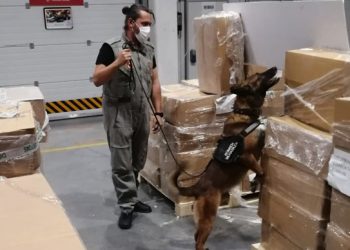 Türkiye’de ele geçirilen kokain miktarı AKP döneminde 653 kat arttı: Avrupa’da durum ne?