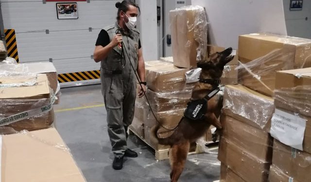 Türkiye’de ele geçirilen kokain miktarı AKP döneminde 653 kat arttı: Avrupa’da durum ne?