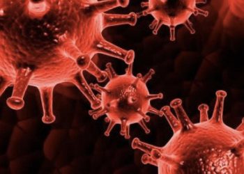 Uzmanlar uyardı: Gribe aldırış etmemek ömür boyu hastalık oluşturabilir