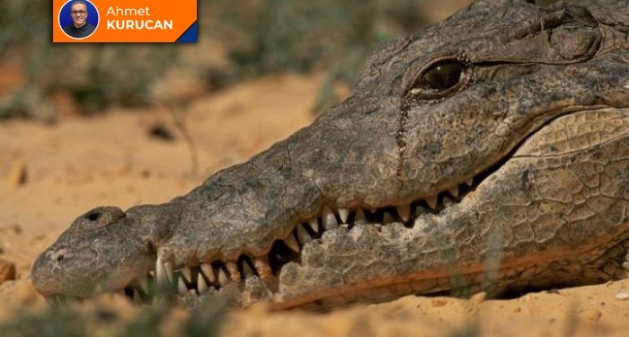 ‘Kızlarımın yüzüne bakamıyorum!’