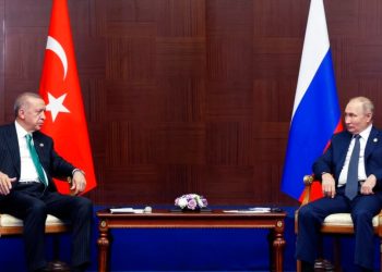 Erdoğan ve Putin Tutuklu Takası Konusunu Görüştü